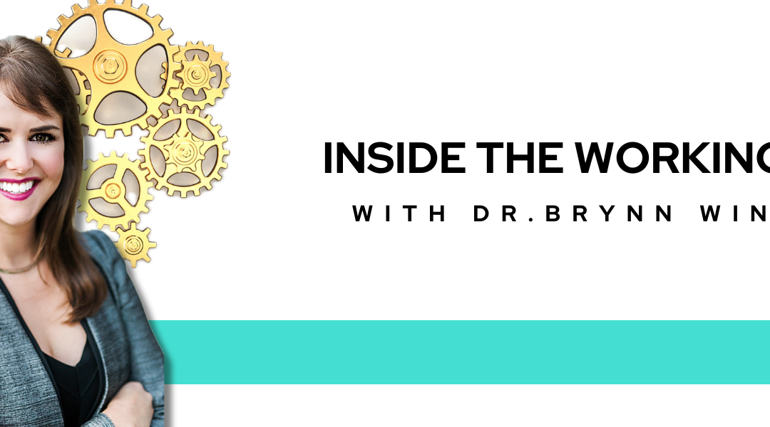 Inside the Working Brain of Dr. Brynn Winegard (pt.1)