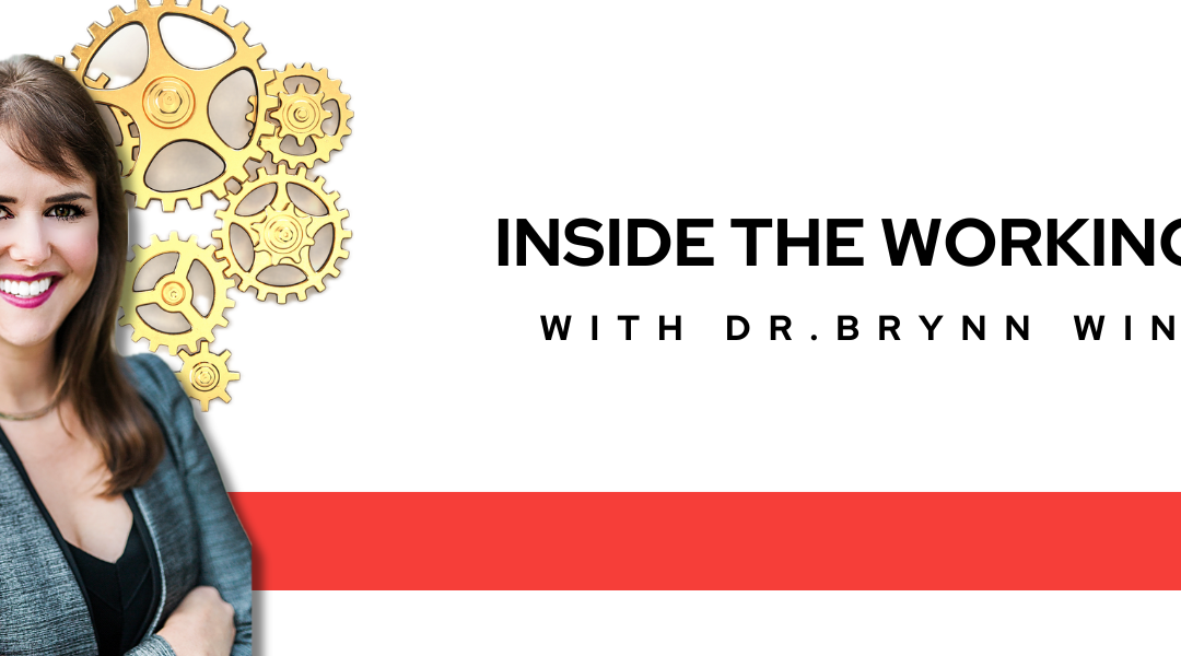 Inside the Working Brain of Dr. Brynn Winegard (pt.2)